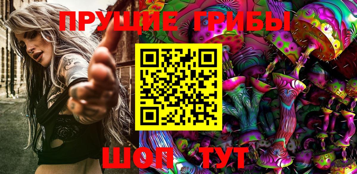 Псилоцибиновые грибы Psilocybe Темрюк
